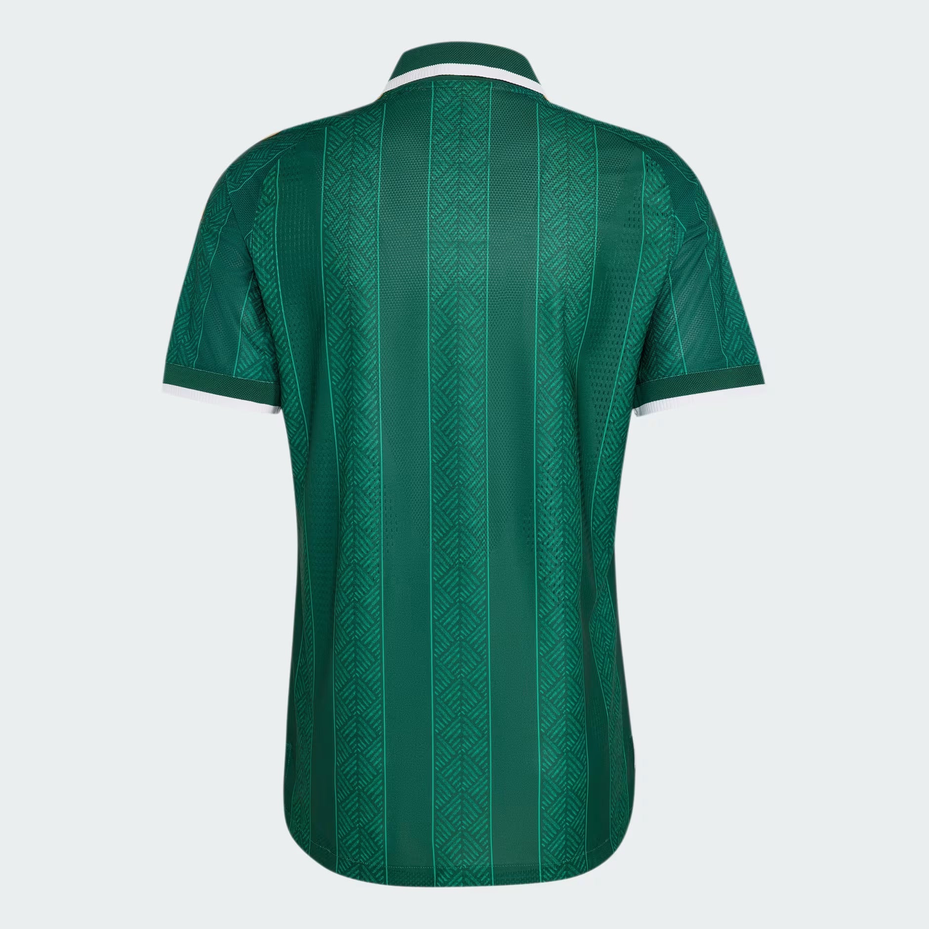 South Africa 2026 Away Jersey (Player's)