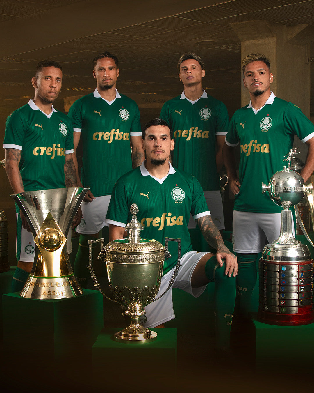 Palmeiras Home 2024