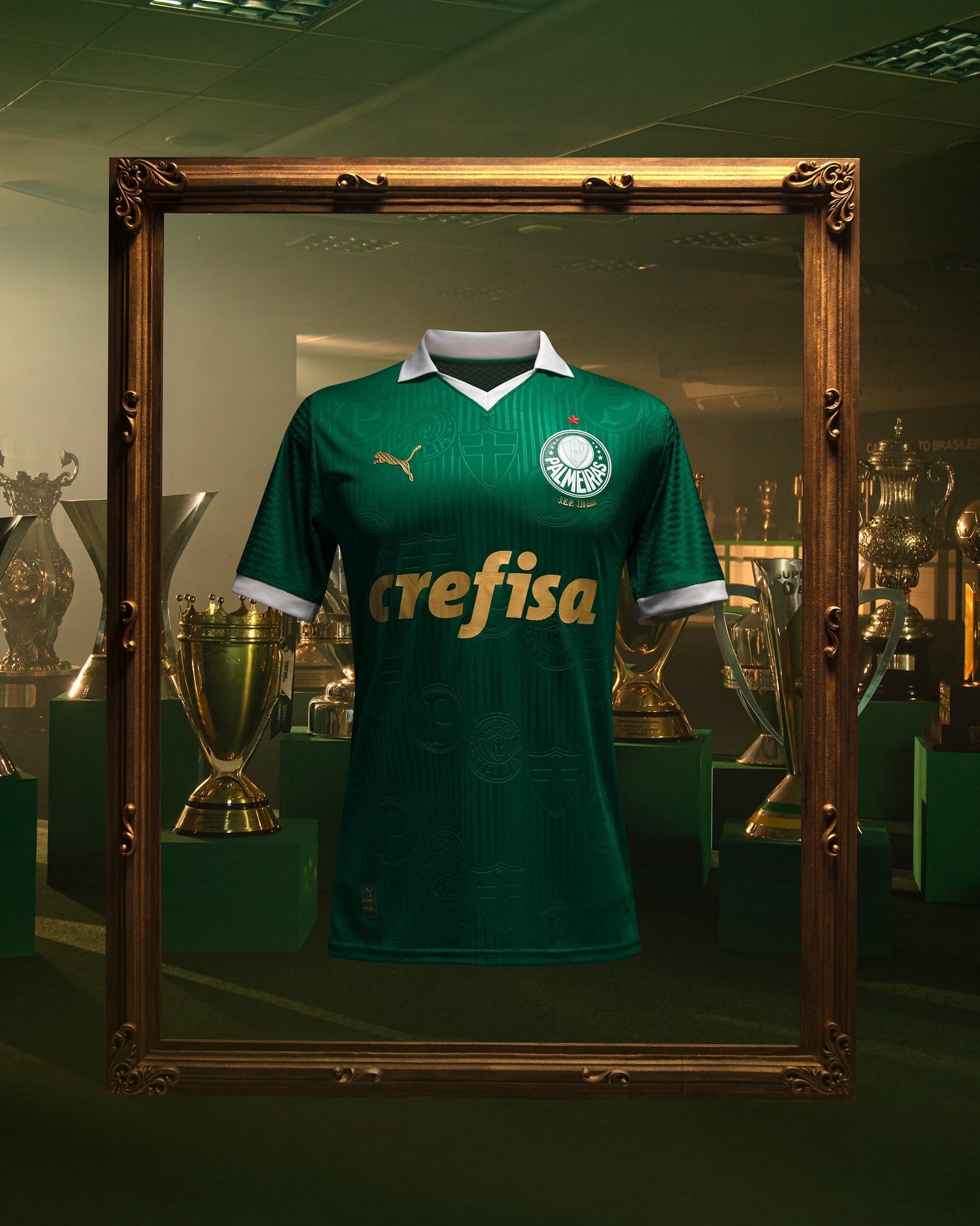 Palmeiras Home 2024