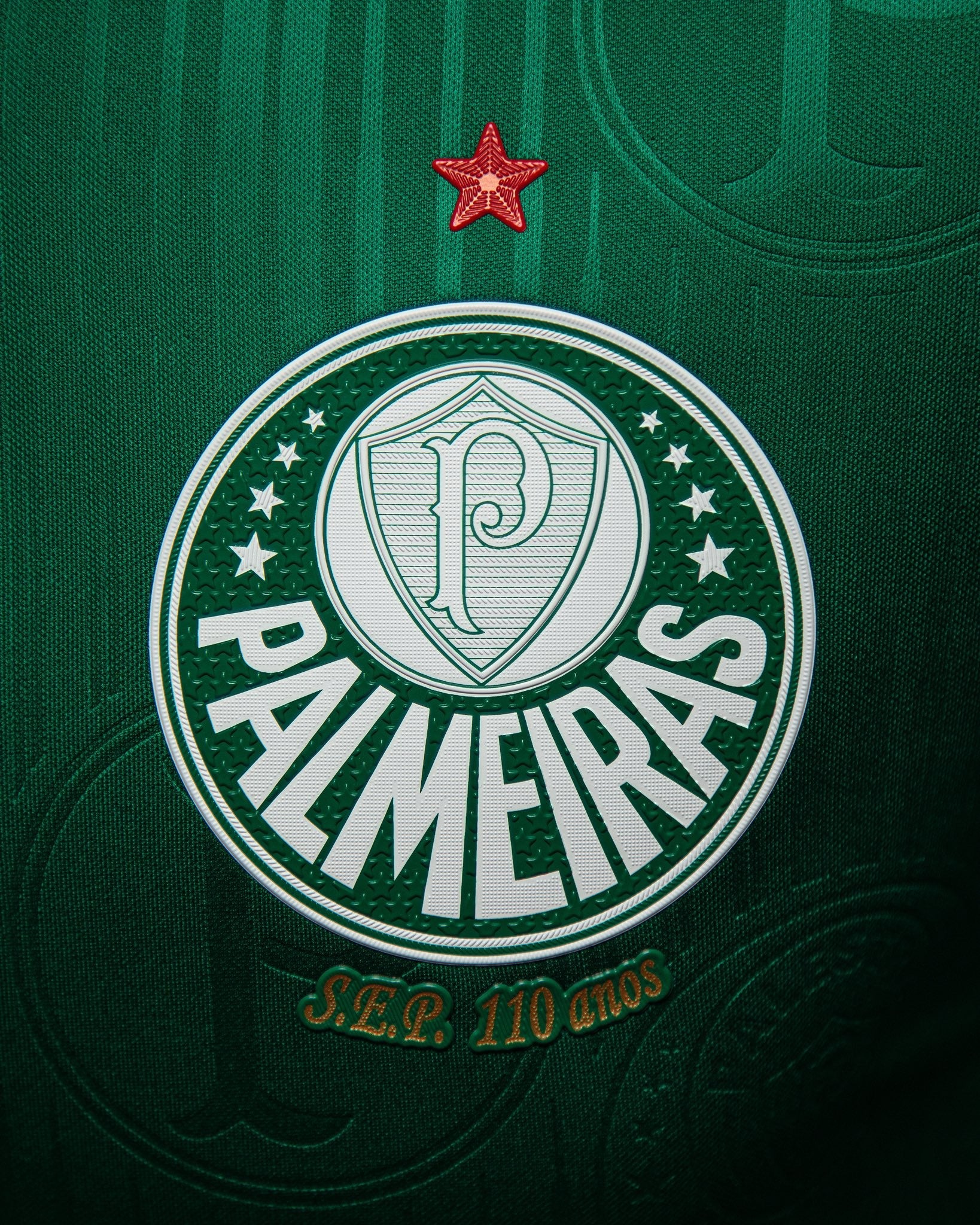 Palmeiras Home 2024