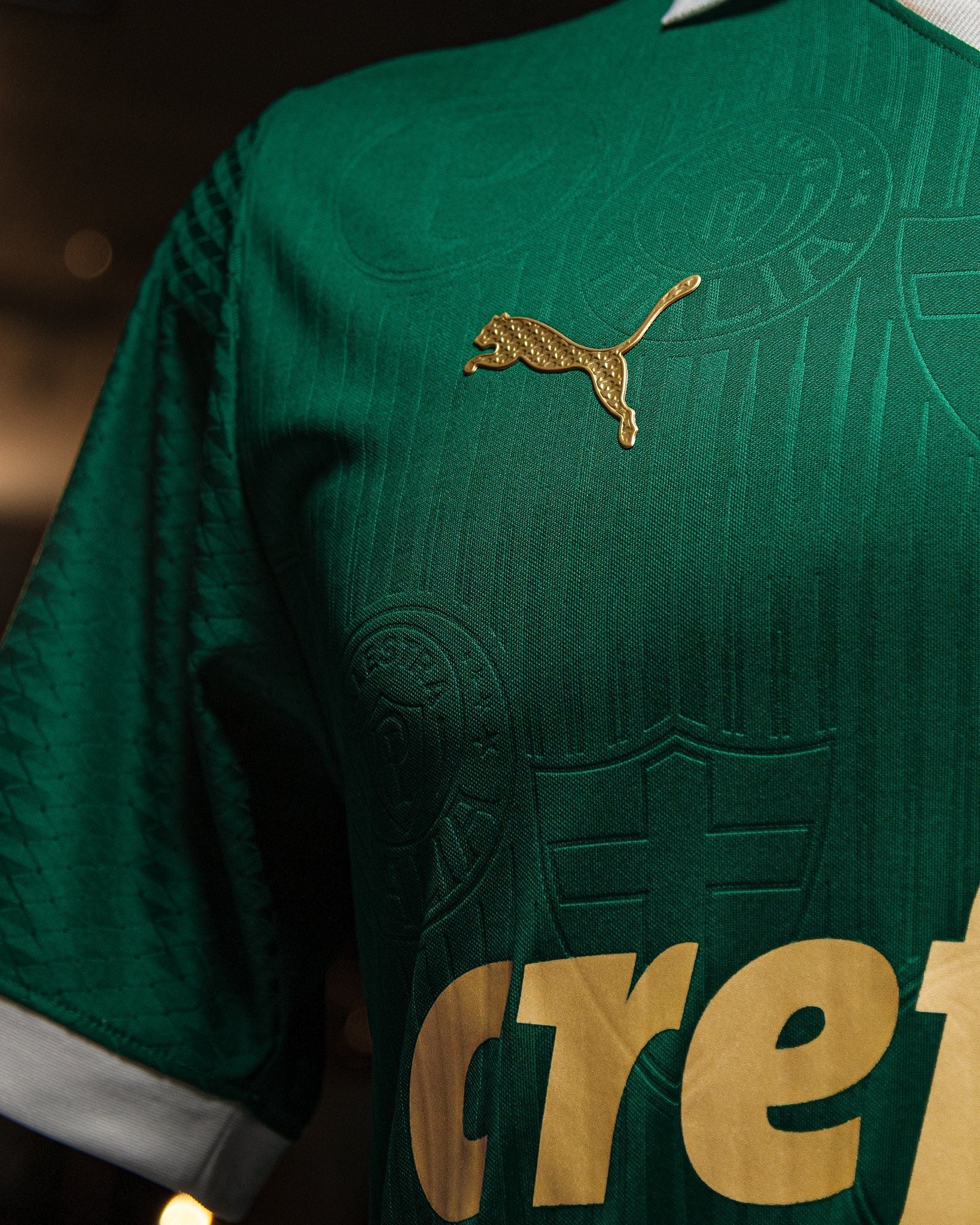Palmeiras Home 2024