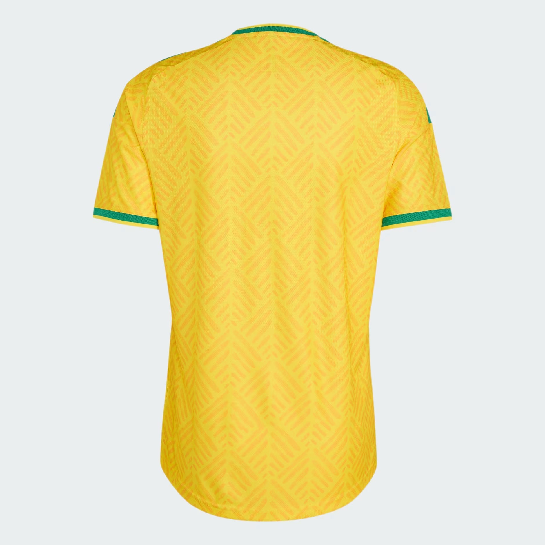 South Africa 2026 Mens Home Jersey (Players)